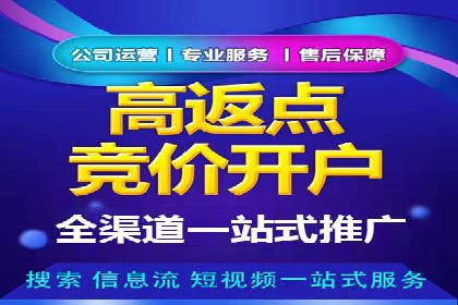 某电商平台的SEM关键词策略及成效分析